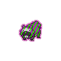 Exotic Bidoof
